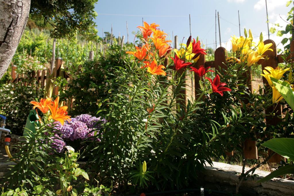 Bed and Breakfast Cà de Pria à Casarza Ligure Extérieur photo